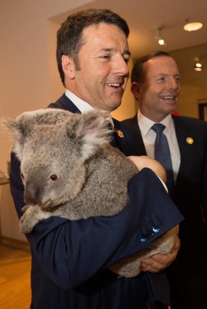 En el primer plano de la imagen Matteo Renzi, Primer Ministro italiano, junto a Tony Abbott.