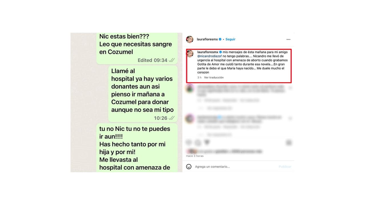 Estos son los mensajes que Laura Flores envió a Nicandro Díaz.