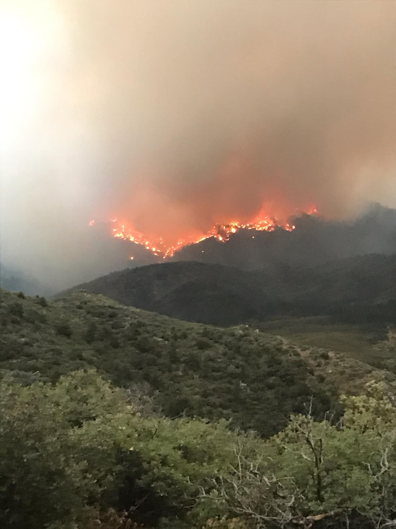 Cerca 140 bomberos batallan contra las llamas del incendio Ridge. 
<br>