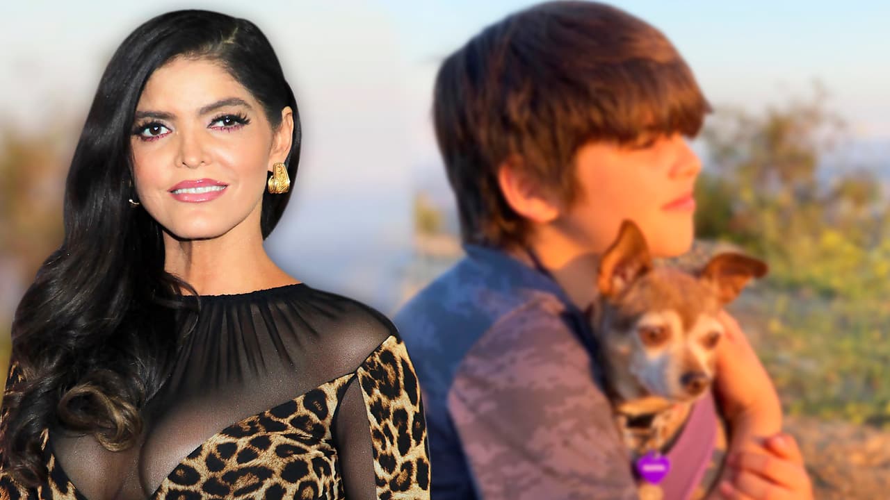 Ana Bárbara enfrenta "días difíciles" tras el accidente de su perrita en presencia de sus hijos