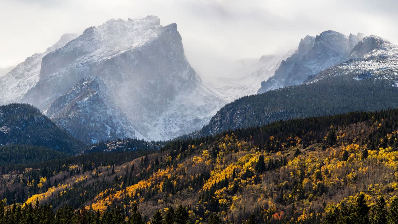 Cada pico en el Parque Nacional de las Montañas Rocosas alberga una colección única de bosques, que muy probablemente serán afectados por el cambio climático.