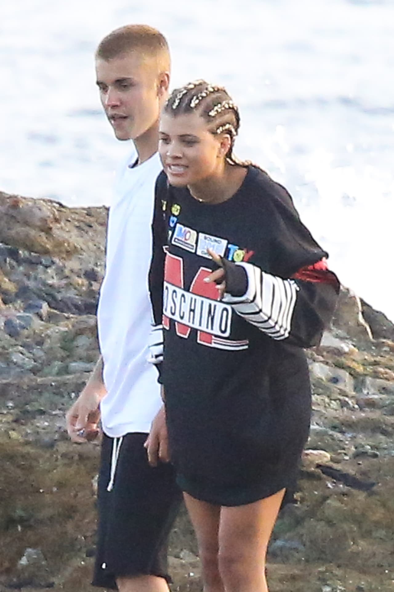 Estaban viendo una foquita entre las rocas.