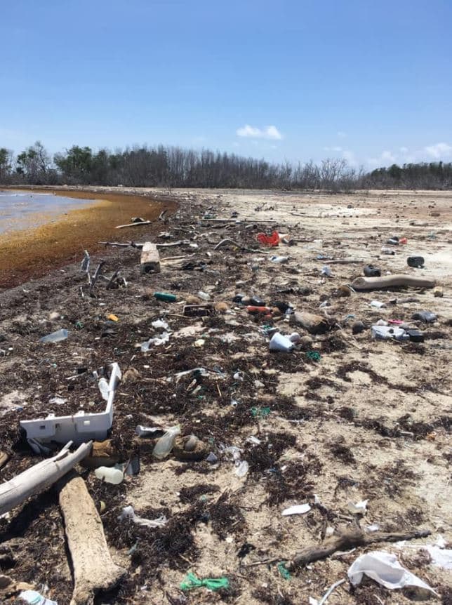Según Ana María Ramos, oficial de prensa de Recursos Naturales, todas las semanas el equipo de trabajo de Áreas Naturales Protegidas recoje un promedio de 100 bolsas de 55 galones de la playa Playuela, la cual se encuentra cerca de las Salinas.
<br>
