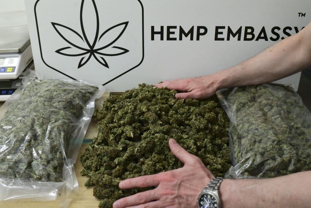 Representantes aprueban legalización de la marihuana y el proyecto queda en manos del Senado