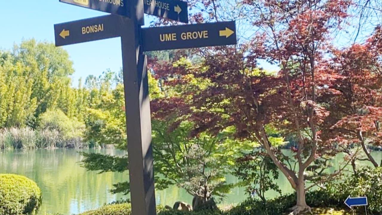 Los patos son otra atracción del jardín, quienes se pasean por los lagos y alrededores.