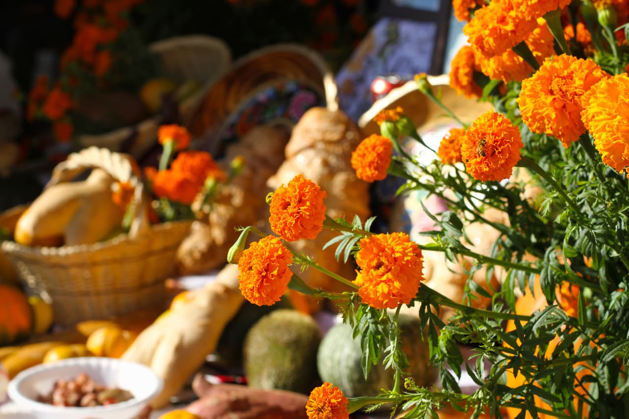 Tradicionalmente se pone en ella calabaza, flor de cempasúchil y celosía, ambas flores sirven para ornamentar la ofrenda. La flor de cempasúchil se usa por su color amarillento, el cual representa a la muerte en la cultura maya.