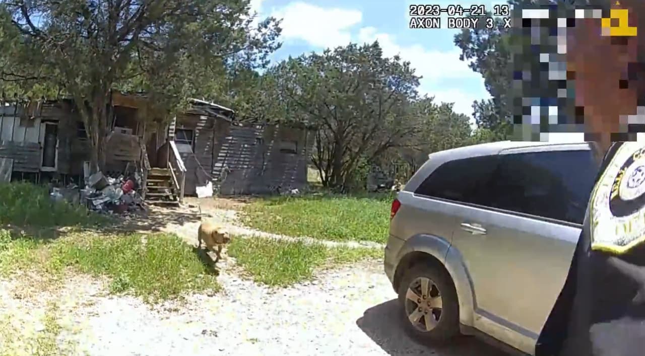 Entonces el pitbull, quien parecía estar amarrado a un objeto frente el hogar, se puso agresivo contra el agente.