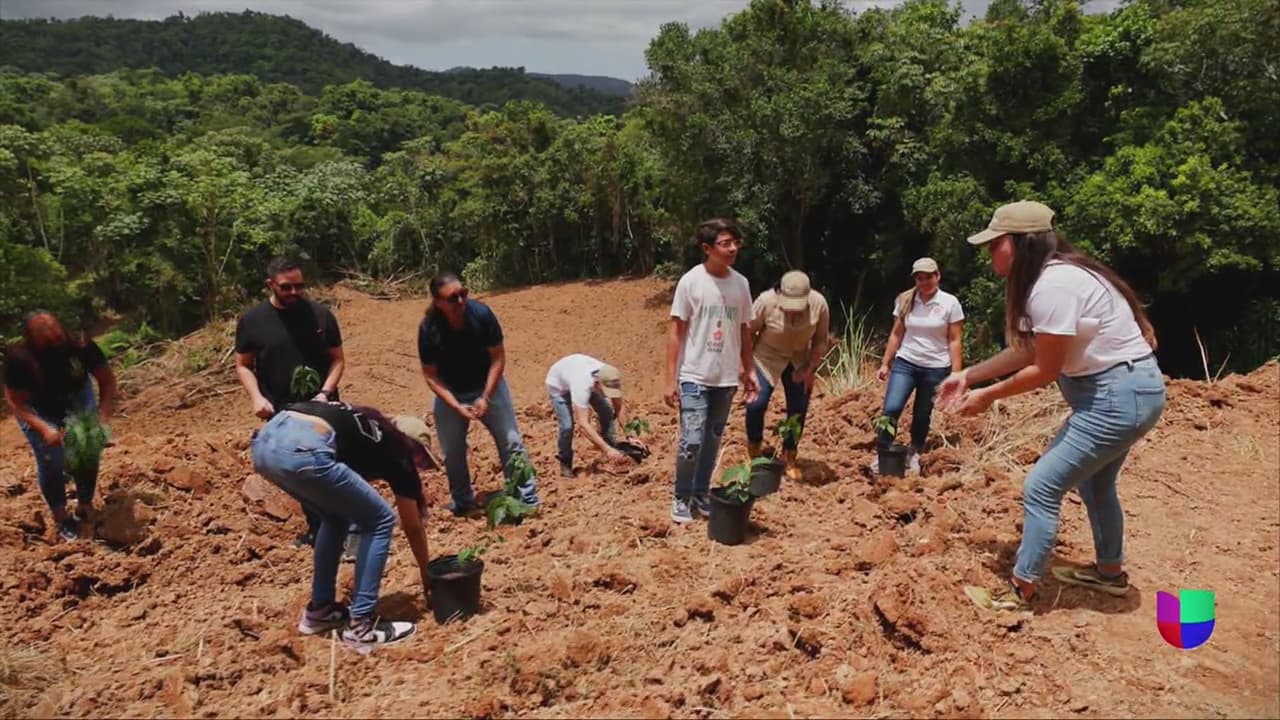 Univision Foundation y Premios Juventud: Sembrando una semilla de esperanza en Puerto Rico