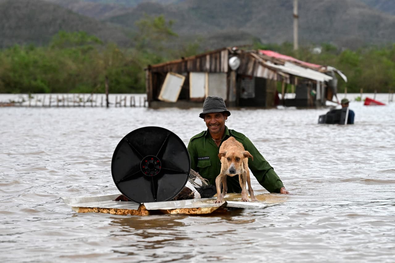 Las mascotas también tuvieron que ser rescatadas, tras el paso del huracán Melissa, por el oriente de Cuba.