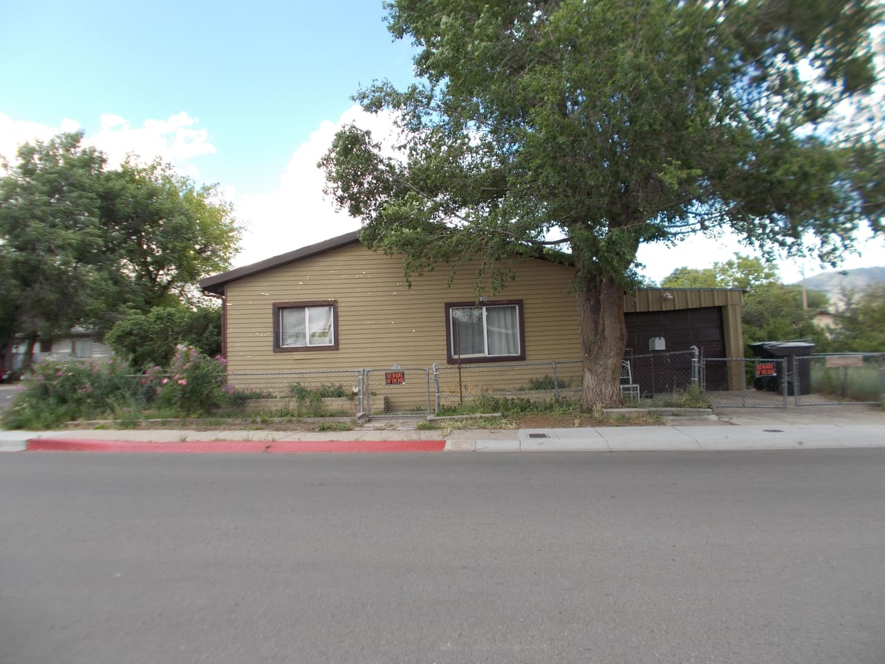 Dos violentos ataques de Pitbulls en menos de 48 horas