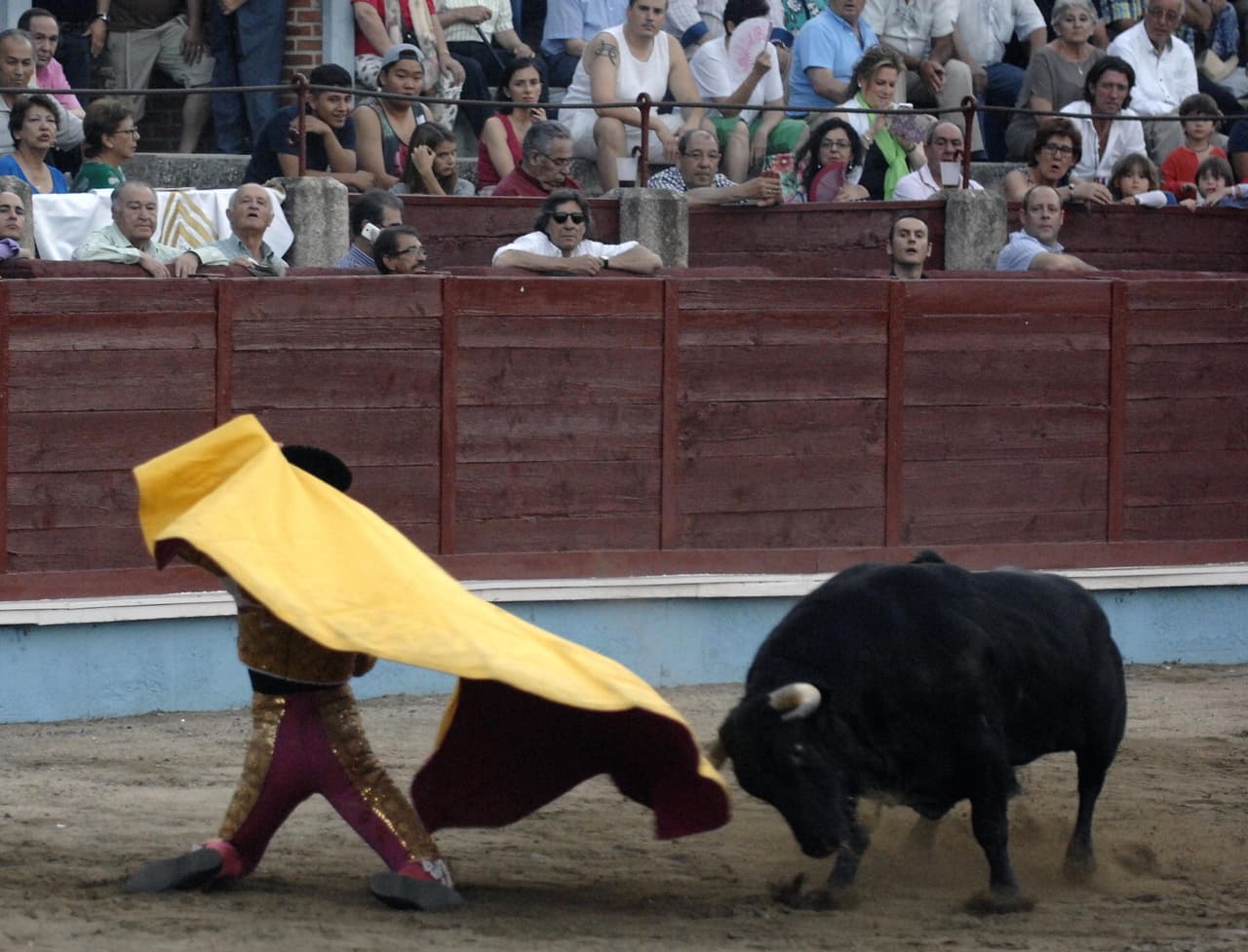Porque muchos estarían de acuerdo que una corrida de toros no es lugar para niños.