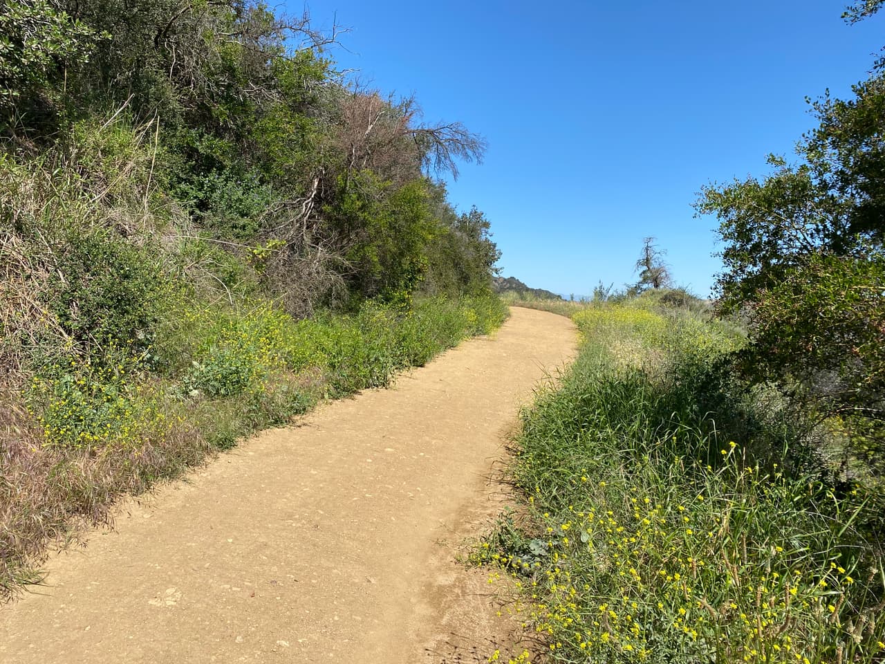 Recomendamos iniciar el recorrido temprano en las mañana y así disfrutar de la vista y los aromas de la vegetación.