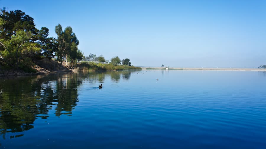 Hombre se contagia con ameba 'come cerebros' luego de nadar en lago de Broward