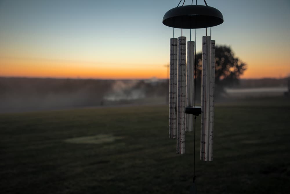 <b>SIGNOS DE AIRE (GÉMINIS, LIBRA Y ACUARIO)</b>
<br>Te sugiero, si no lo tienes, que te compres algún tipo de sonajero, algo que suene, que esté acorde a tu elemento.
<br>