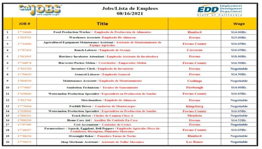 Estas son 20 ofertas de empleo de la semana