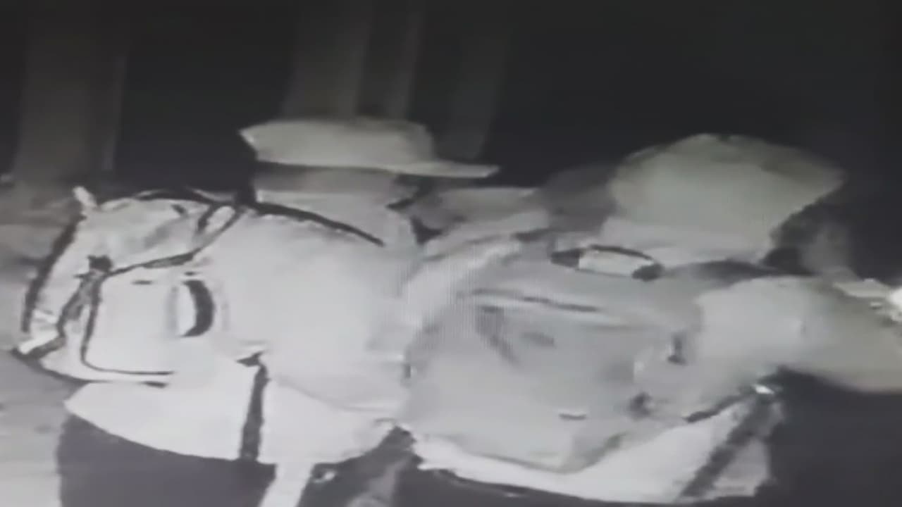 Banda de turistas chilenos estaría tras millonario robo en Miami captado en video