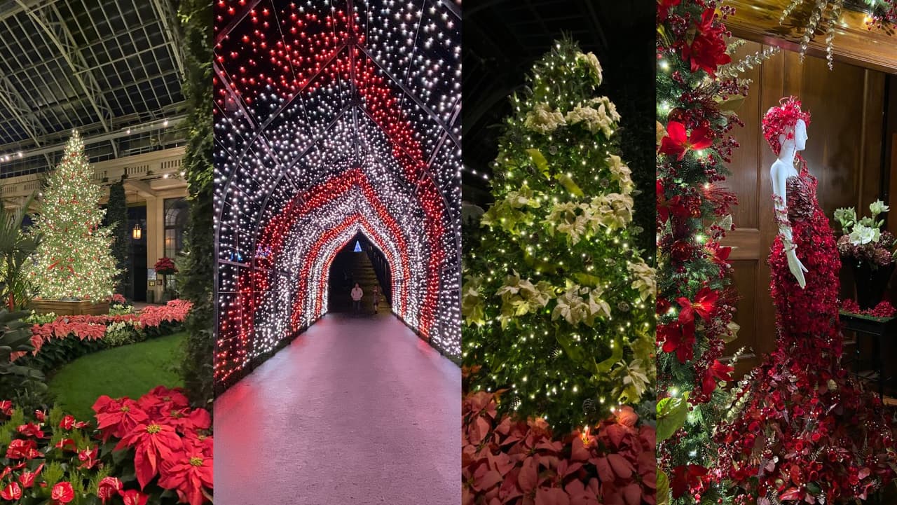 <b>Te puede interesar</b>: Ninguna festividad está completa sin una visita a A Longwood Christmas en Longwood Gardens, donde 500,000 luces centelleantes y espectáculos de fuentes componen un brillante país de las maravillas navideñas.
