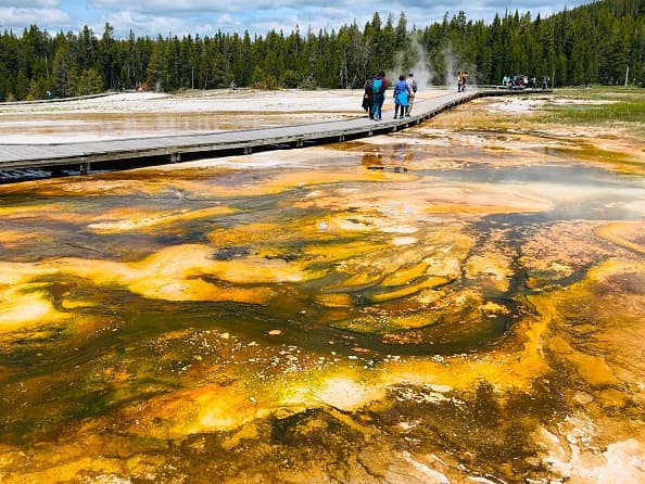 El 
<a href="https://www.nps.gov/yell/index.htm" target="_blank">Parque Nacional de Yellowstone</a> es el lugar ideal para los viajeros que disfrutan de la fotografía por sus paisajes únicos. Además de ser el hogar de cientos de especies de animales, como osos, lobos, búfalos, alces y antílopes.
