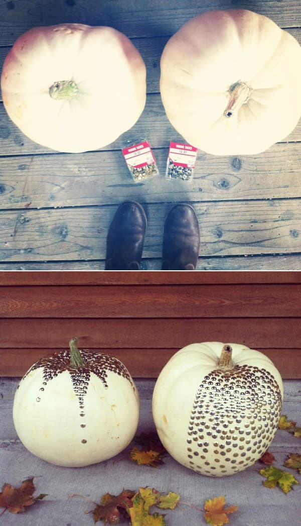 Busca calabazas blancas o píntalas en casa, luego usa 'thumbtacks' (chinches, chinchetas) para crear un diseño especial (
<a target="_blank" href="http://blog.kellitrontel.com/pumpkin-craft/">log.kellitrontel.com)</a>