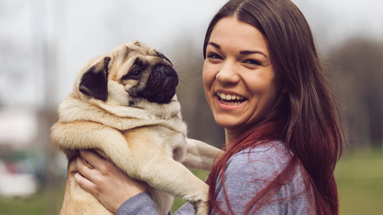 El movimiento lento y suave de la caminata ayuda a tonificar los músculos de tu cuerpo, proporciona oxígeno al corazón, y es beneficioso para la salud de los pulmones.