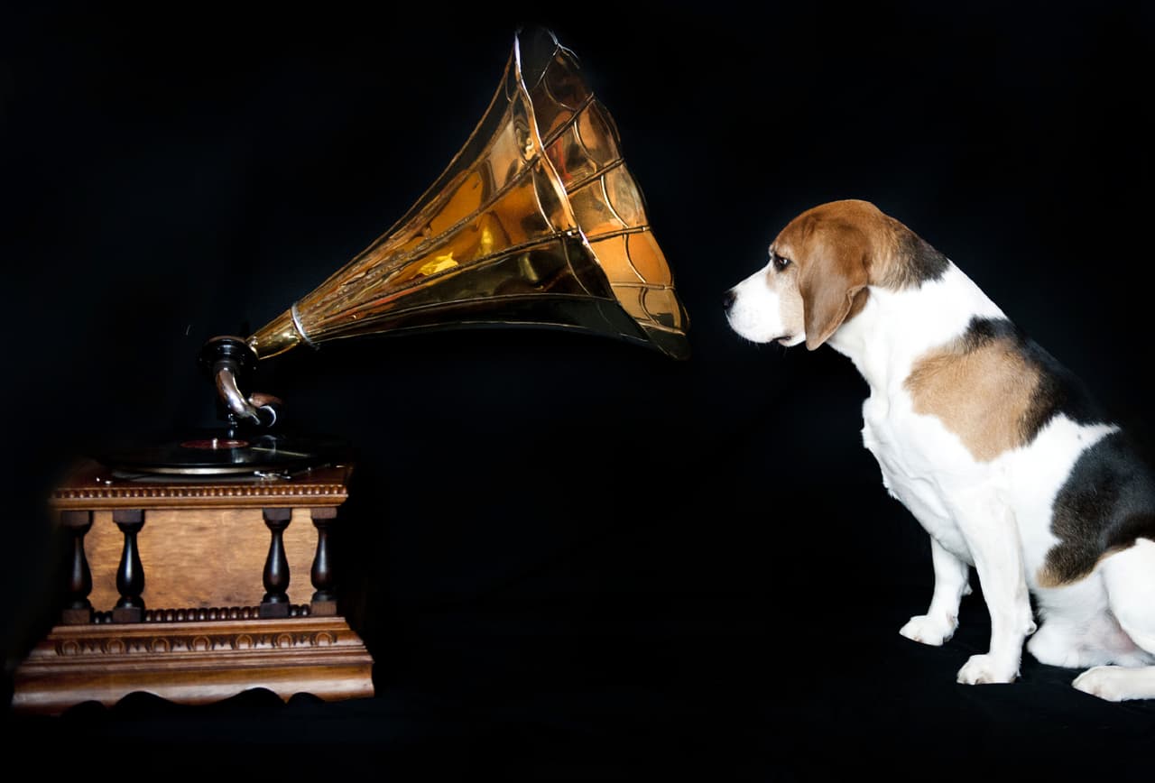 ¡Pero por fin fue solucionada!