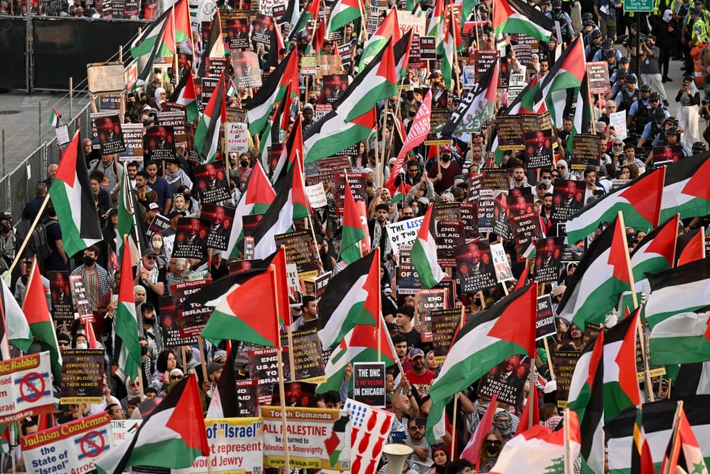 Los activistas califican de "éxito" las protestas contra la guerra en Gaza fuera de la convención, pese a la baja participación