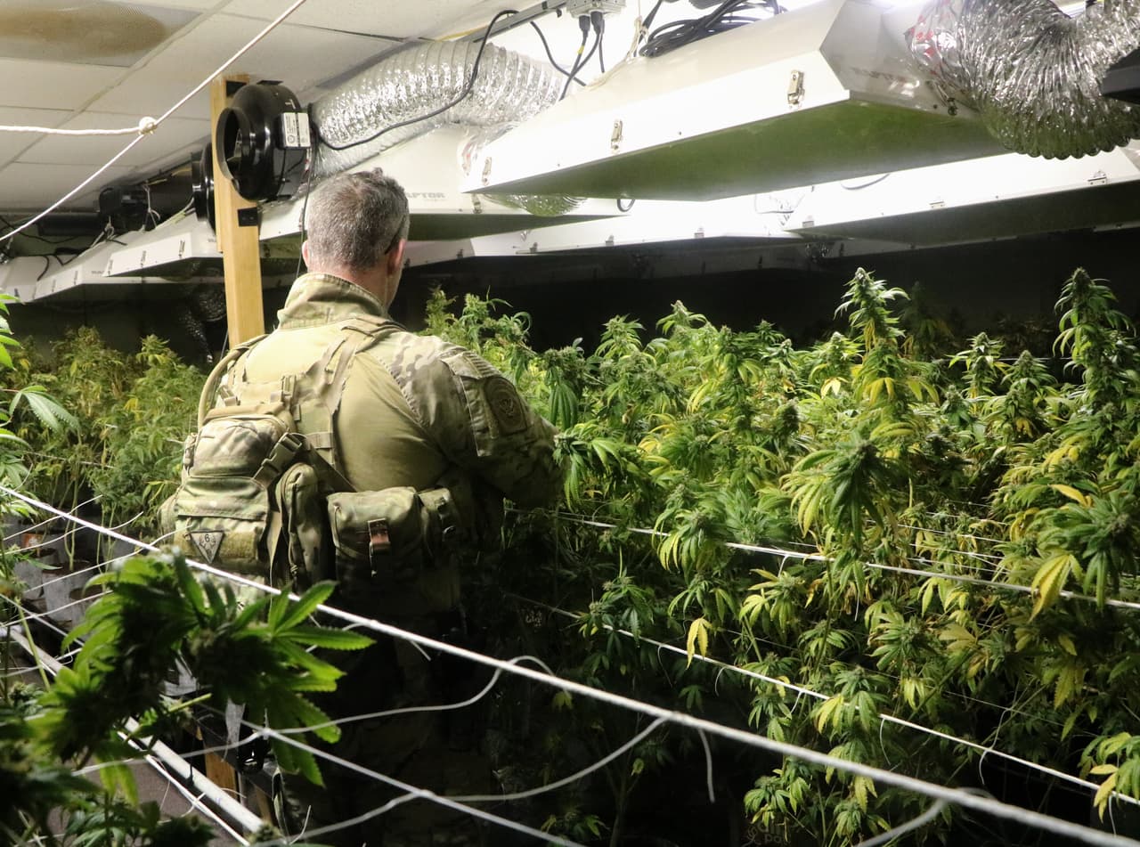 Caen en 75% los decomisos de marihuana en la frontera de Arizona, pero sube el contrabando de otras drogas