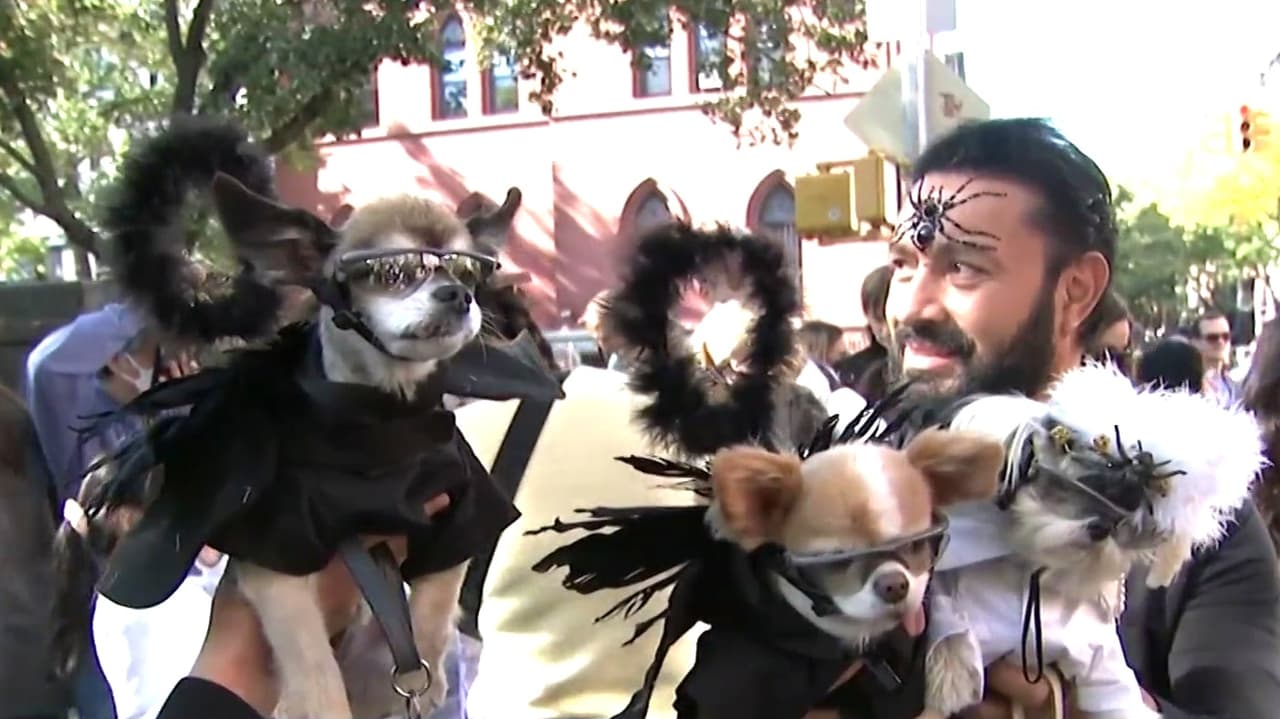 Mascotas desfilan sus mejores disfraces en Nueva York durante el festival anual de Halloween canino