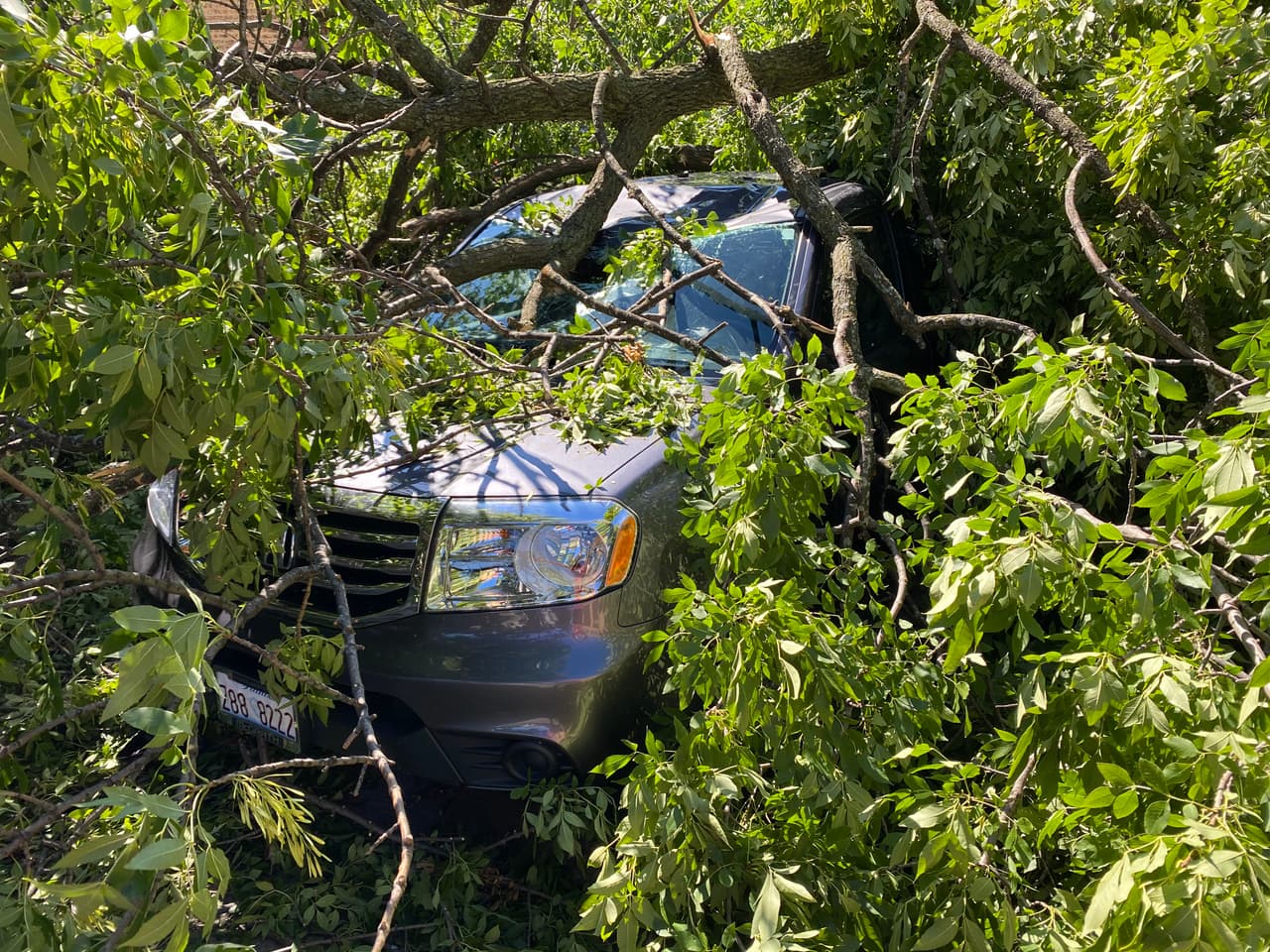 <b><a href="https://www.univision.com/local/chicago-wgbo/confirman-que-un-tornado-toco-tierra-en-el-barrio-rogers-park-de-chicago-durante-las-tormentas-del-lunes">Un tornado tocó tierra en el lado norte de la ciudad </a></b>d urante la tormenta del lunes por la tarde, dijo el martes un meteorólogo del Servicio Nacional de Meteorológia.