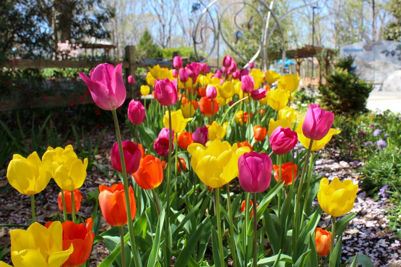 <b>State Botanical Garden of Georgia (Athens)</b>
<br>
<b>Sitio web</b>: 
<a href="https://botgarden.uga.edu/">https://botgarden.uga.edu/</a> 
<br>
<b><a href="https://maps.app.goo.gl/aZFxqt4Ek8FGoyc3A">Cómo llegar</a> </b>
<br>
<br>El Jardín Botánico Estatal es una reserva de 313 acres reservada por la Universidad de Georgia en 1968 para el estudio y disfrute de las plantas y la naturaleza. Contiene una serie de colecciones y jardines temáticos especializados, más de cinco millas de senderos naturales y cuatro instalaciones principales, incluido un invernadero tropical.