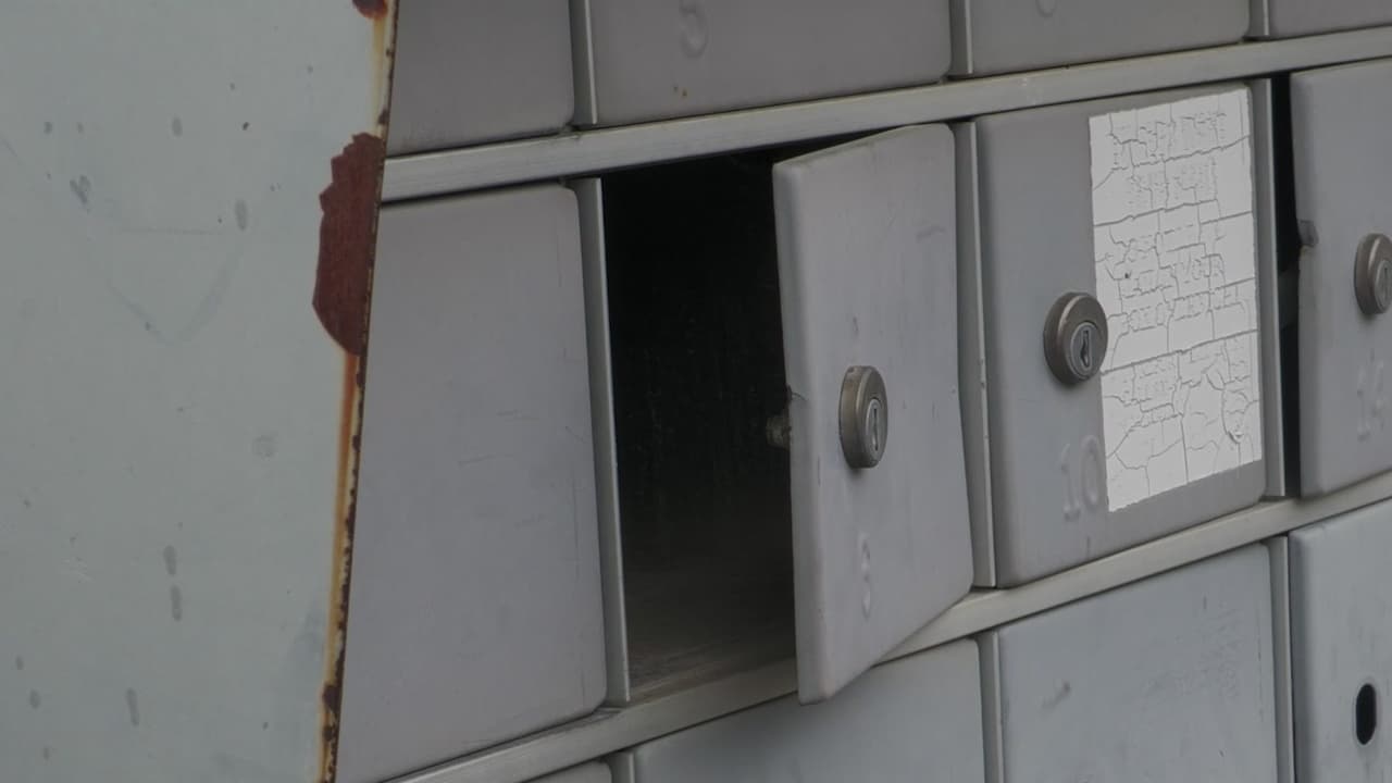 Investigan robo de boletas electorales enviadas por correo en Condado Salt Lake