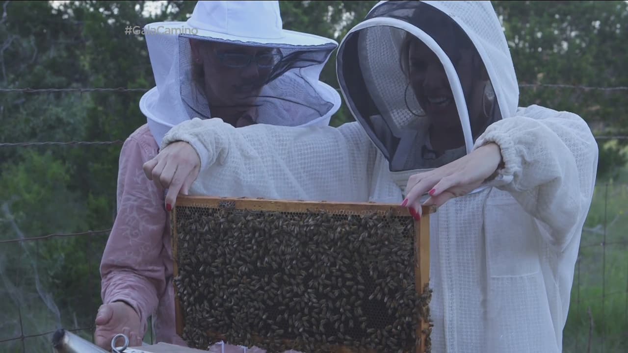 Fer venció uno de sus miedos al ir con Tanya Phillips, una apicultora.