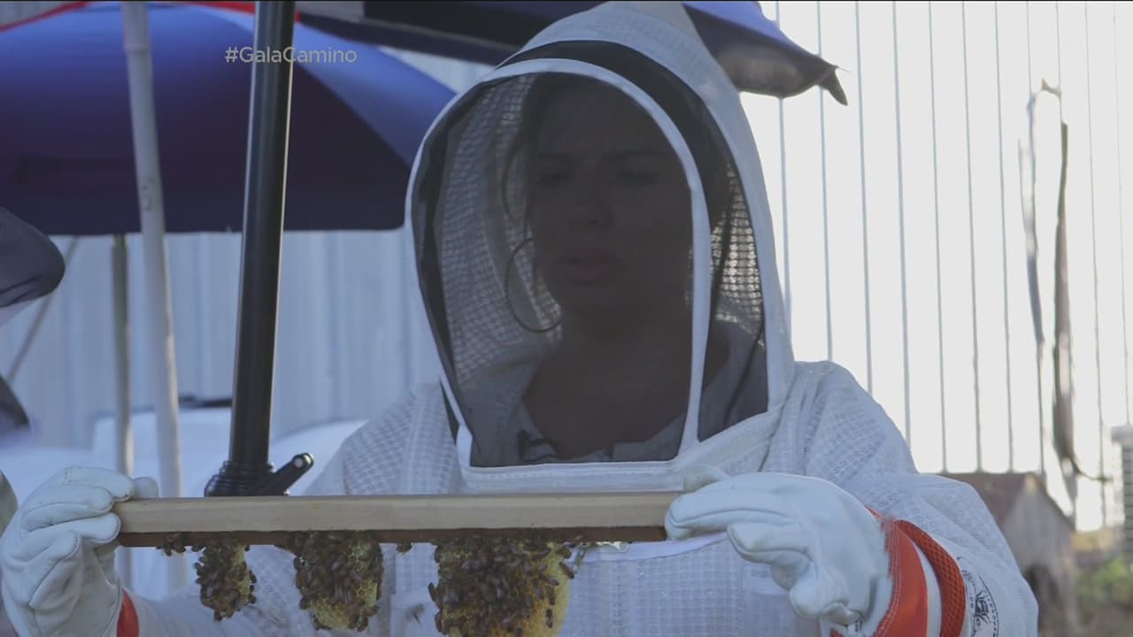 Ahí aprendió muchas cosas de las abejas.