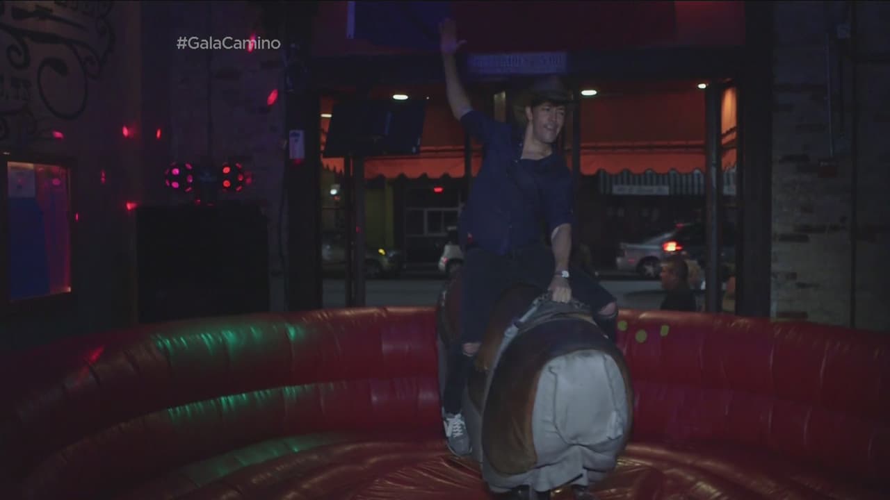 Llegaron a un bar en donde hay un toro mecánico.