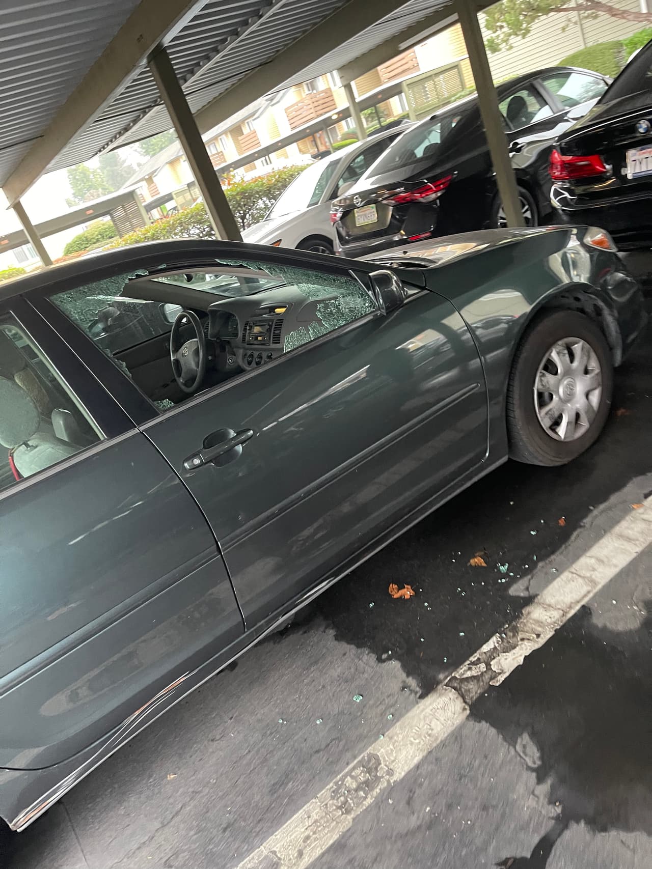 Si tiene información sobre este incidente podría recibir hasta $1,000 en recompensa. Puede llamar a la policía de Sacramento al (916) 808-5471.