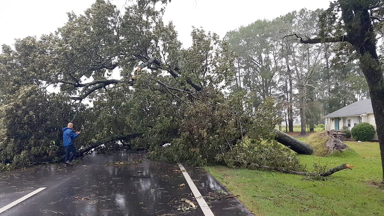 Un árbol obstruye una calle de Goldsboro, en Carolina del Norte.