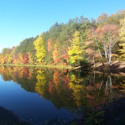 Cinco actividades para realizar al aire libre este fin de semana en Filadelfia 