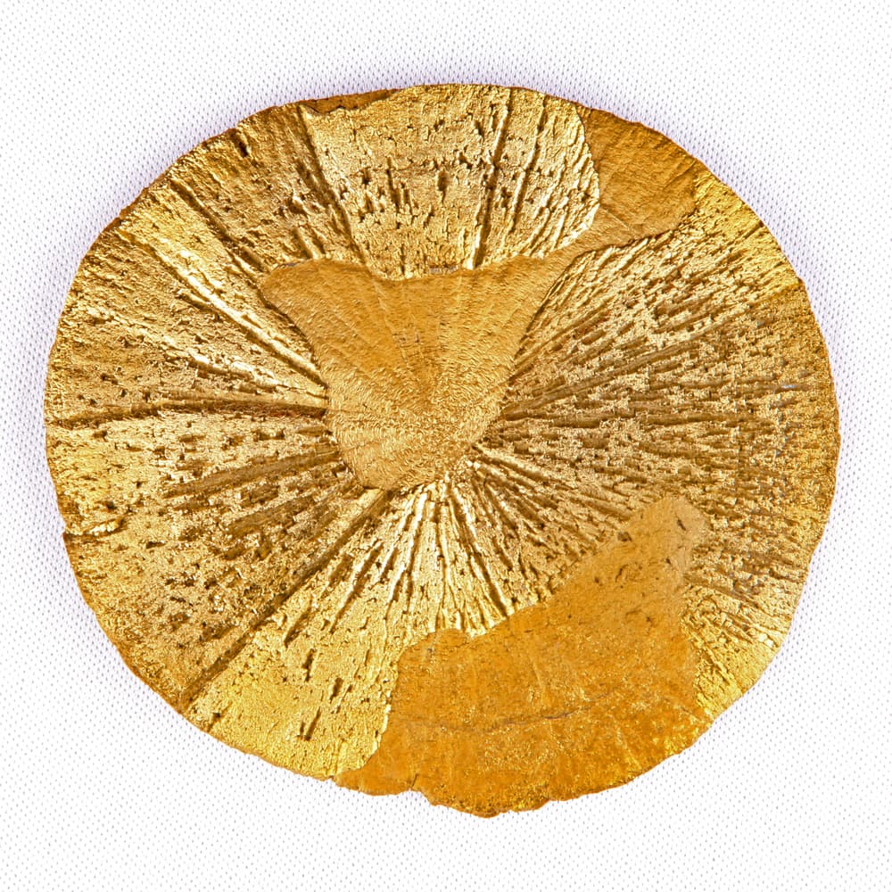 A nivel físico también se cree que tiene varios beneficios. La pirita es un mineral purificador de la sangre y de todo el cuerpo, pues mejora el sistema circulatorio y por ende evita o reduce las enfermedades del corazón y el cerebro.