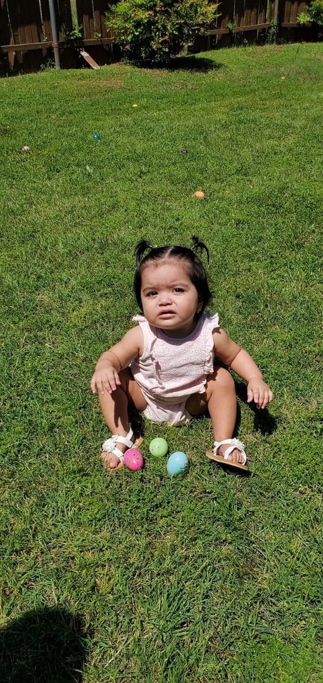 Cosechas de esta pascua en casa.