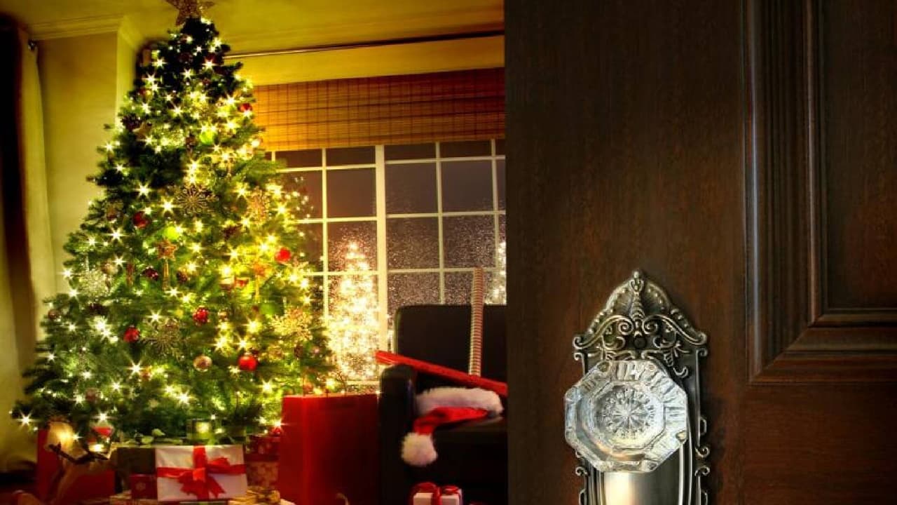 • Si utiliza un árbol navideño vivo, asegúrese de agregar agua con frecuencia al soporte del árbol. Si el árbol está perdiendo muchas agujas o las agujas se vuelven quebradizas, no encienda las luces eléctricas decorativas. El calor de las luces podría provocar un incendio.