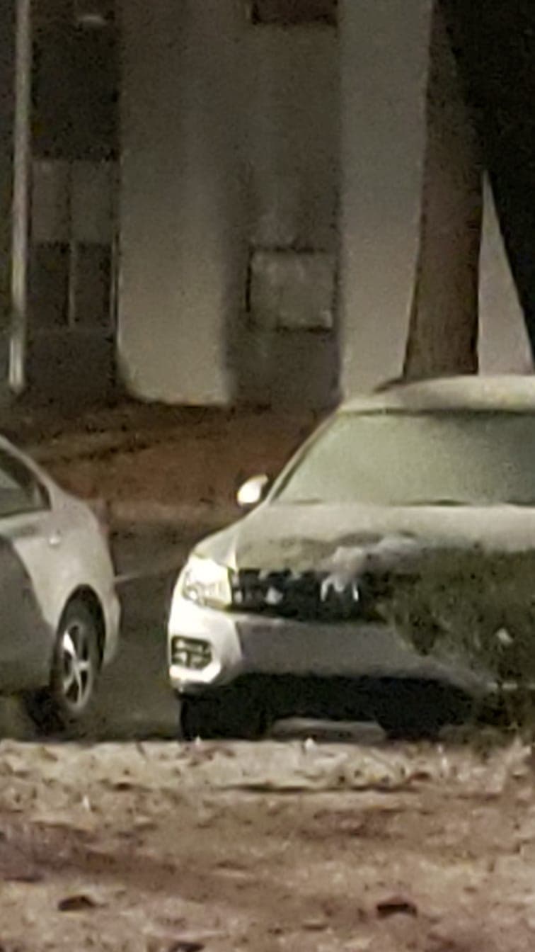 Erika León nos envió esta foto desde Duluth.