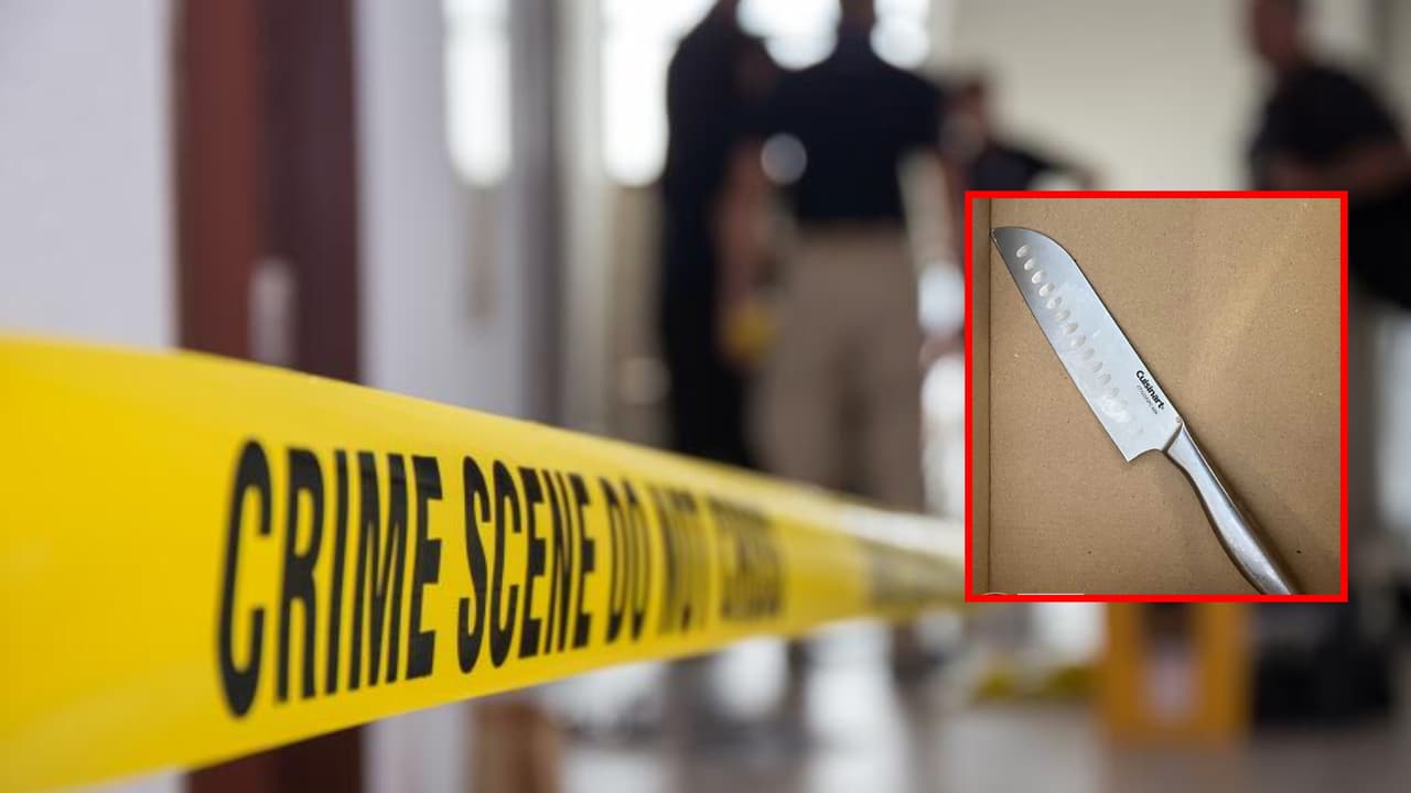 Policía dispara contra un hombre que intentó matar a su madre en El Bronx