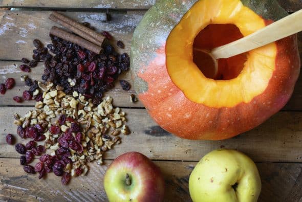 .Calabaza. Más del 90 por cierto de la comida de tu mascota debería estar balanceada.