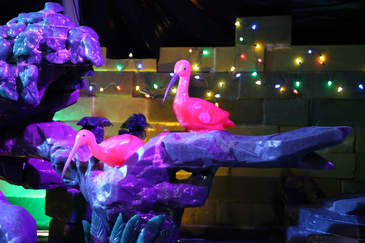 Los ibis escarlata o garzas rojas son un especie nativa de sudamérica.