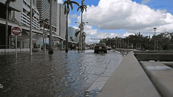 Fotografías interactivas: Miami antes y después del huracán Irma