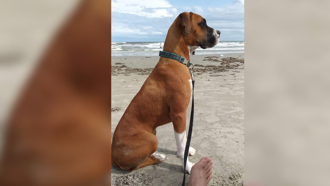 "Mi chamaco El Tekila". Eleazar García