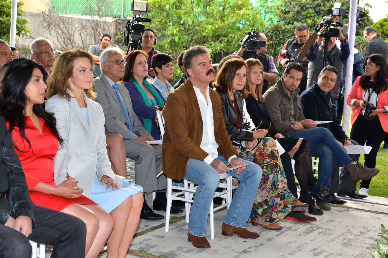 Por lo que al recuperarse inicia una guerra como candidata presidencial, convirtiéndose en oponente de su marido.