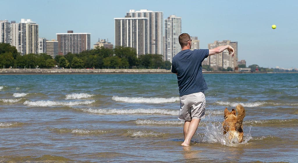 Playas de Chicago: por más curioso que parezca, en el Lago Michigan también puedes bañarte y disfrutar de sus aguas y playas como si fuera un verdadero mar. Hay 24 espacios de playas públicas y gratuitas. Esta temporada dura solo 4 meses así que turistas y residentes tienen poco tiempo para disfrutarlas.