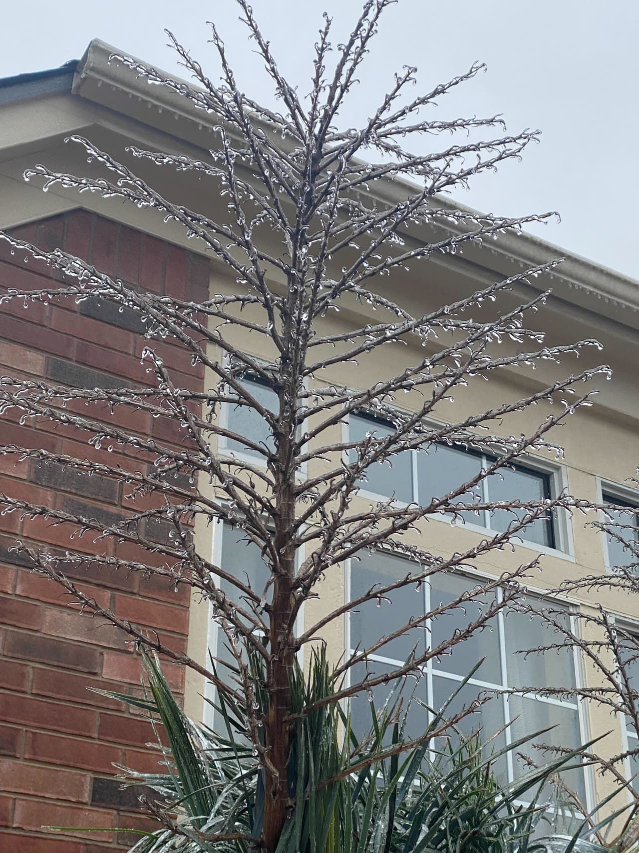 En definitiva hay que abrigarse y protegerse del frío, así no caiga la nieve en tu ciudad.
