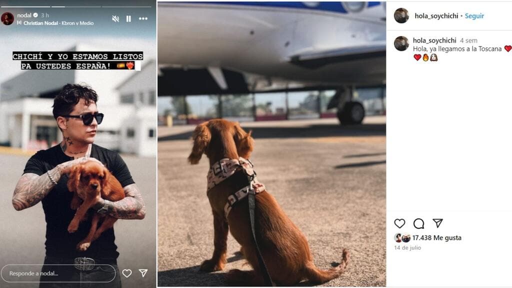 Así se dejaba ver Nodal con 'Chichí', la mascota que compartía con Ángela Aguilar.